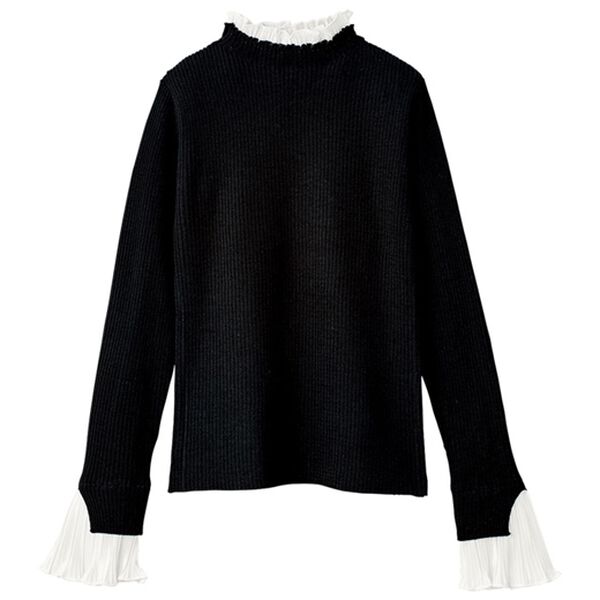 GeeRA（ジーラ）の「プリーツ付ハイネックリブニットトップス（ニット・セーター）」｜詳細画像