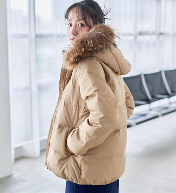 リアルファー付ダウンショートコート - ベルーナ【公式】