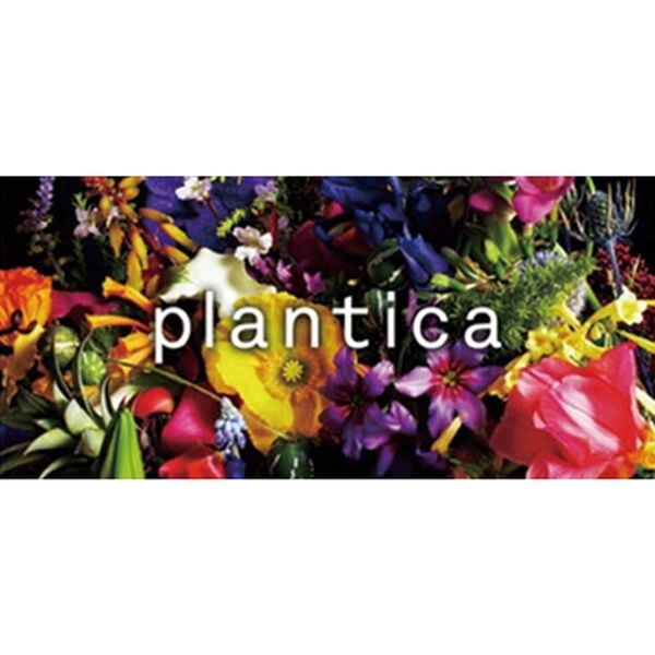 BELLUNA（ベルーナ）の「ｐｌａｎｔｉｃａ　シャツチュニック（シャツ）」｜詳細画像