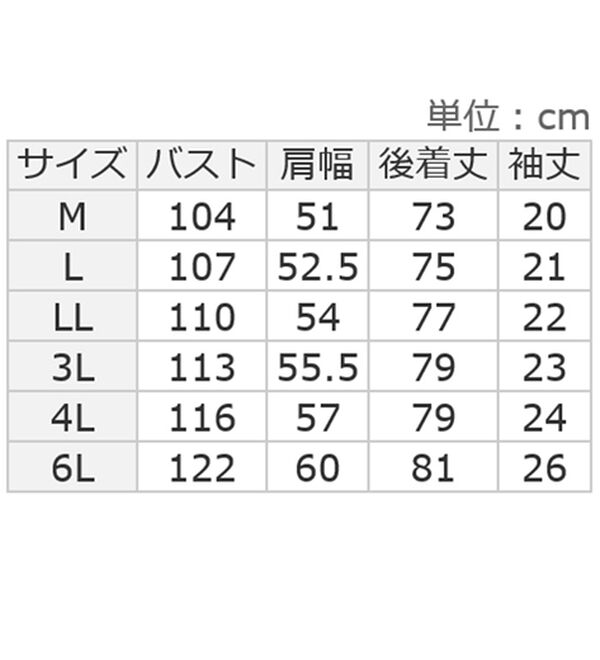 ルフラン（ルフラン）の「【ａ・Ａ・Ｐ】楊柳素材の涼やかブラウス（ブラウス）」｜詳細画像