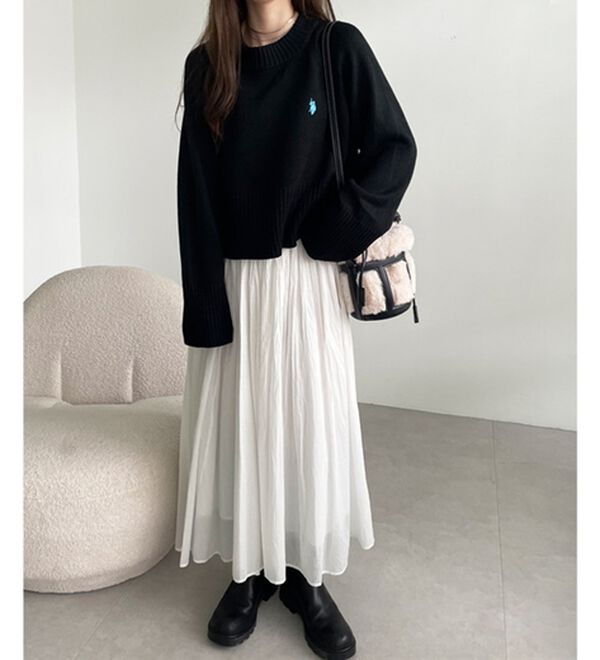 GeeRA（ジーラ）の「【ＵＳ．ＰＯＬＯ　ＡＳＳＮ】ショート丈ニット（ニット・セーター）」｜詳細画像