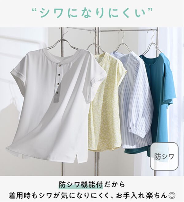 Viola e Viola（ヴィオラ エ ヴィオラ）の「【涼しく解決！】Ｔシャツ感覚で着られるブラウス（ブラウス）」｜詳細画像