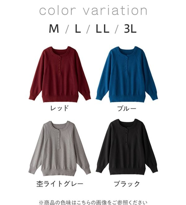 Viola e Viola（ヴィオラ エ ヴィオラ）の「【ゆったり着られる】洗える！ヘンリーネックニット（ニット・セーター）」｜詳細画像