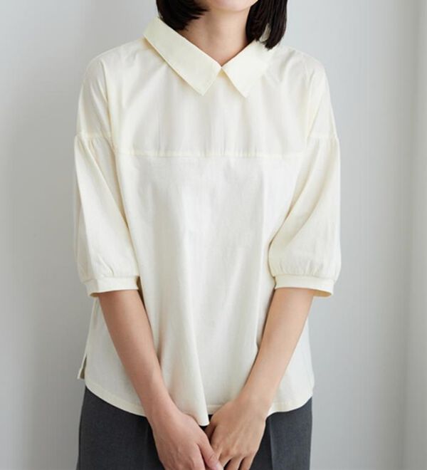 BELLUNA（ベルーナ）の「衿付き異素材切替プルオーバー（カットソー）」｜詳細画像