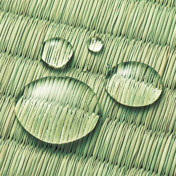「はっ水・抗菌加工　い草上敷（い草ラグ）」｜詳細画像