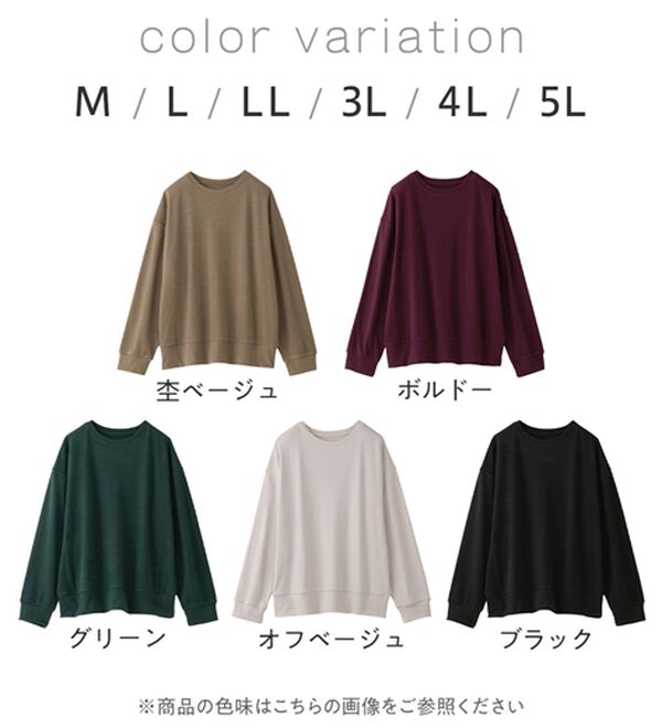 Viola e Viola（ヴィオラ エ ヴィオラ）の「柔らか表起毛シンプルトップス（カットソー）」｜詳細画像