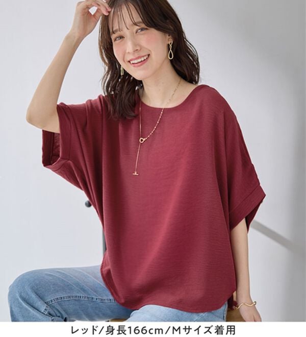 Viola e Viola（ヴィオラ エ ヴィオラ）の「華奢見えドルマンスリーブブラウス（ブラウス）」｜詳細画像