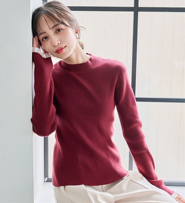 RANAN（ラナン）の「【春色追加】シアーフリル袖ハイネックリブニット（ニット・セーター）」｜詳細画像