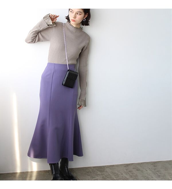 GeeRA（ジーラ）の「プリーツ付ハイネックリブニットトップス（ニット・セーター）」｜詳細画像