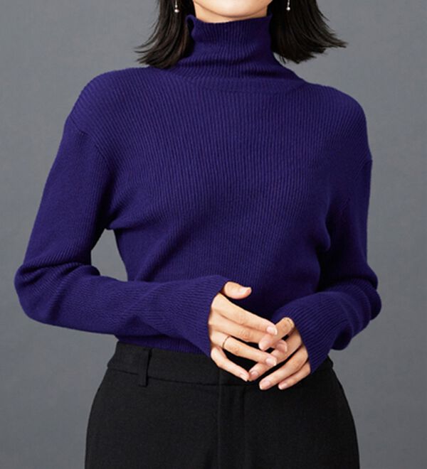 安心感あるプチプラニット】リブニットタートルネックプルオーバー