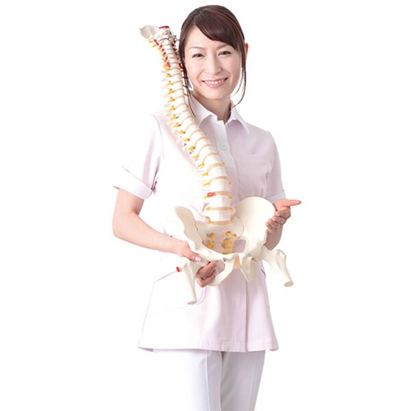 LAVIENNE（ラヴィエンヌ）の「芦屋美整体骨盤スリムスタイルショーツ（ガードル）」｜詳細画像