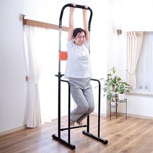 「ぶらさがり健康器（その他美容・健康機器）」｜1