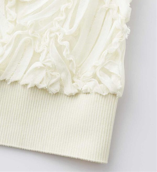 RANAN（ラナン）の「【前後２ＷＡＹ】シアー刺しゅうベスト（ベスト）」｜詳細画像