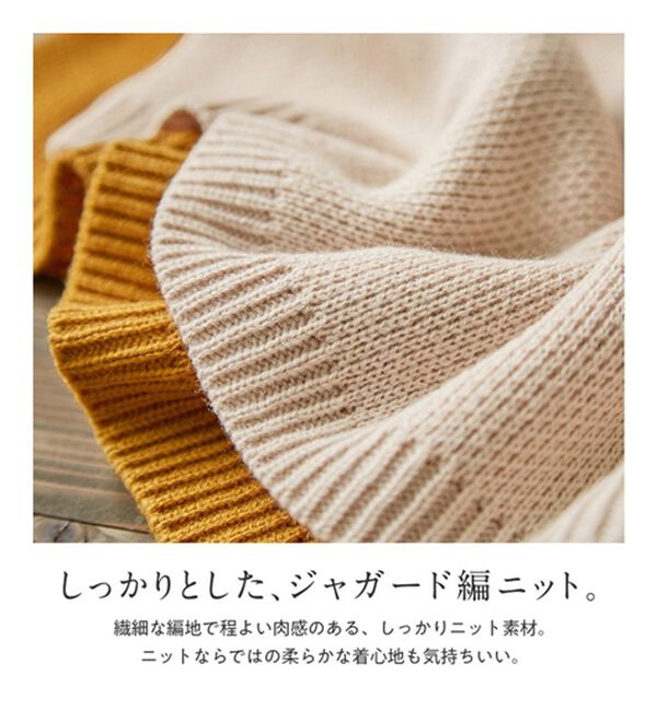 Viola e Viola（ヴィオラ エ ヴィオラ）の「ボトルネックゆるニット（ニット・セーター）」｜詳細画像