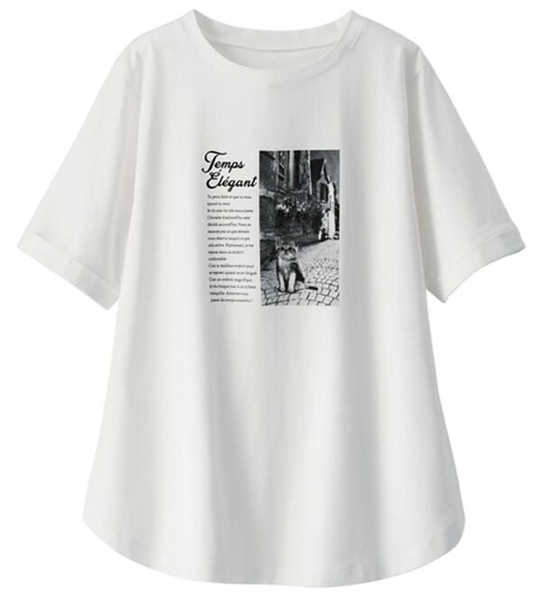 BELLUNA（ベルーナ）の「綿１００％着映えネコ柄プリントＴシャツ（Tシャツ）」｜詳細画像