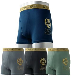 「【４枚組】＜ビーストアーマー＞ライオンガードボクサーパンツ（メンズボクサーパンツ）」｜詳細画像