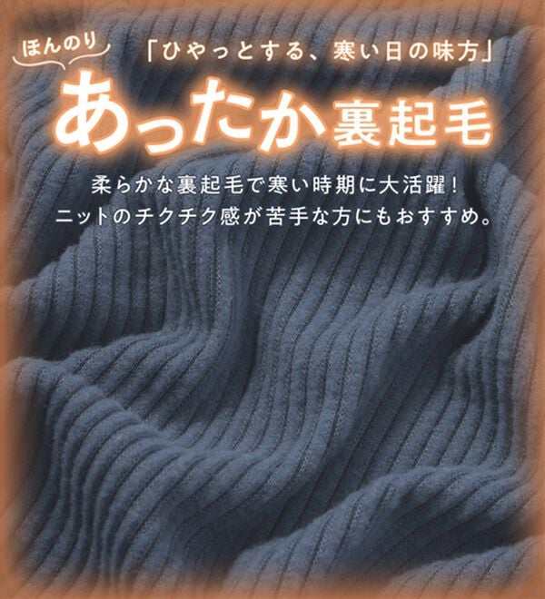 Viola e Viola（ヴィオラ エ ヴィオラ）の「【クルーネック】チクチクしにくい裏起毛プルオーバー（カットソー）」｜詳細画像