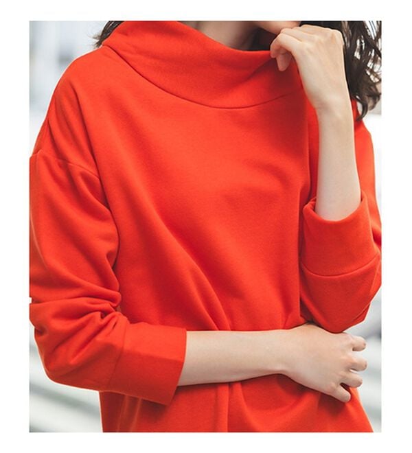 RANAN（ラナン）の「【アンチピリング】裏起毛ハイネックプルオーバー（カットソー）」｜詳細画像