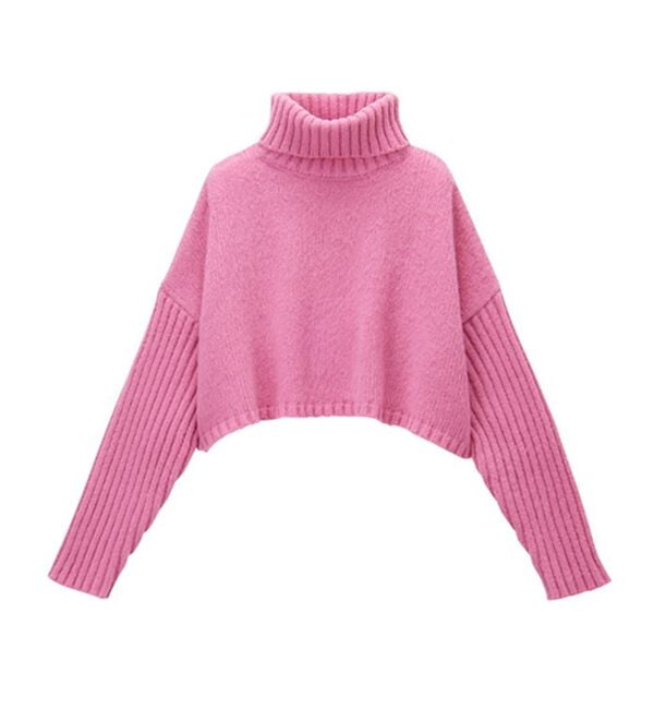 GeeRA（ジーラ）の「タートルネックショート丈ニット（ニット・セーター）」｜詳細画像