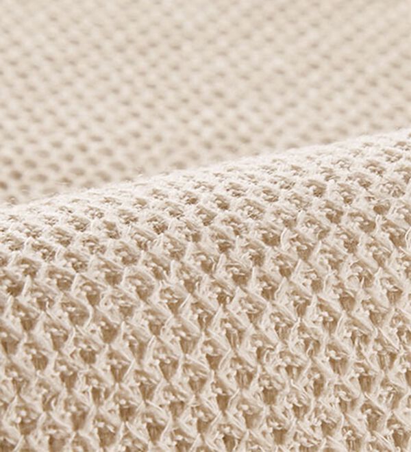 BELLUNA（ベルーナ）の「ふんわり裏起毛ニットソーロゴプルオーバー（カットソー）」｜詳細画像