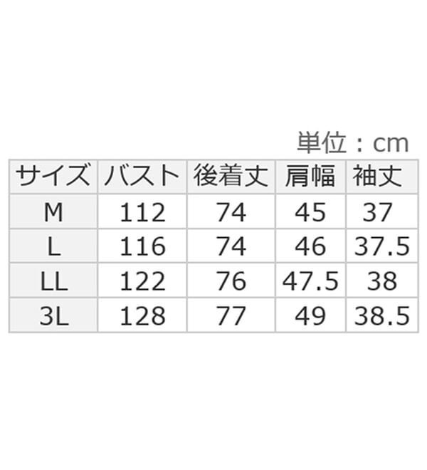 Viola e Viola（ヴィオラ エ ヴィオラ）の「綿100％刺しゅうデザインシャツチュニック　さらひやりコットン（チュニック）」｜詳細画像