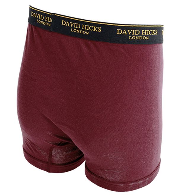 4枚組】＜デービッド ヒックス＞革新設計！パッドのない吸水ボクサー