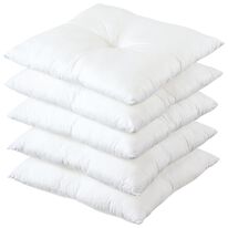 「ヌード座布団５枚組（座布団・座布団カバー）」