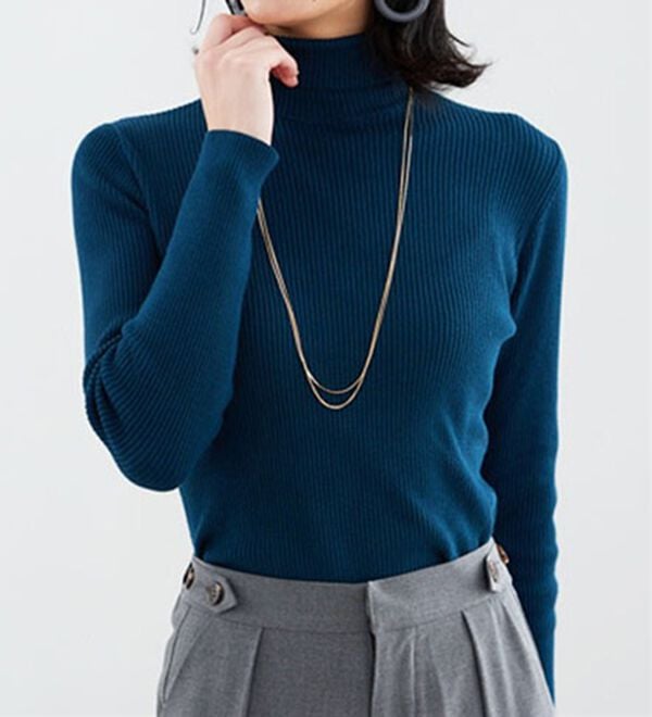 BELLUNA（ベルーナ）の「リブニットタートルプルオーバー（ニット・セーター）」｜詳細画像