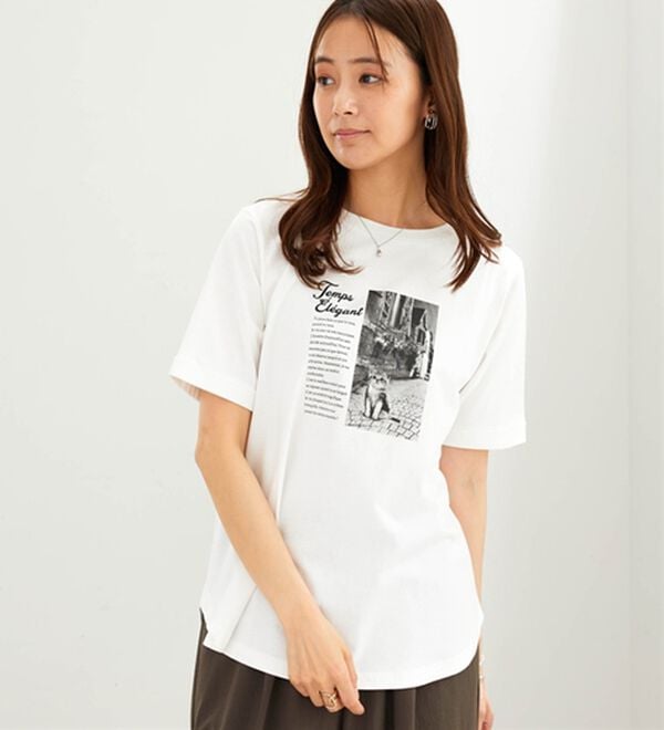 BELLUNA（ベルーナ）の「綿１００％着映えネコ柄プリントＴシャツ（Tシャツ）」｜詳細画像