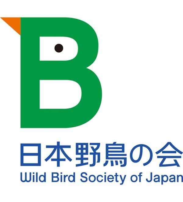 「日本野鳥の会　バードウォッチング長靴（その他メンズ靴）」｜詳細画像