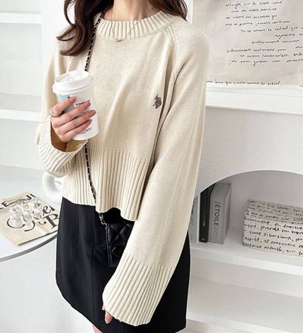 GeeRA（ジーラ）の「【ＵＳ．ＰＯＬＯ　ＡＳＳＮ】ショート丈ニット（ニット・セーター）」｜詳細画像