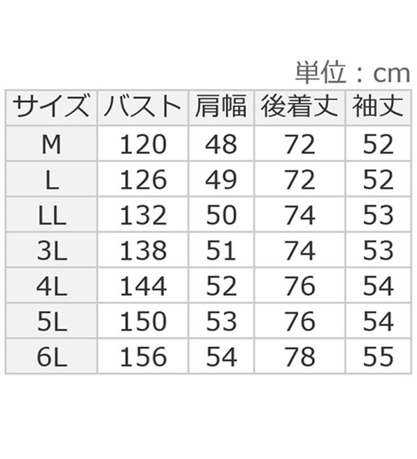 ルフラン（ルフラン）の「【２色組】裾スピンドルチェックシャツ＜ロブニー＞（シャツ）」｜詳細画像