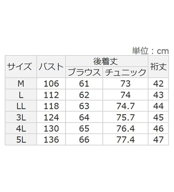Viola e Viola（ヴィオラ エ ヴィオラ）の「【選べる２丈】さらっと涼感フレアスリーブブラウス（ブラウス）」｜詳細画像