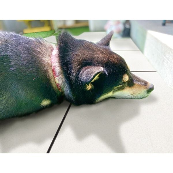 「ジョイント遮熱タイル（ＤＩＹ・工具）」｜詳細画像