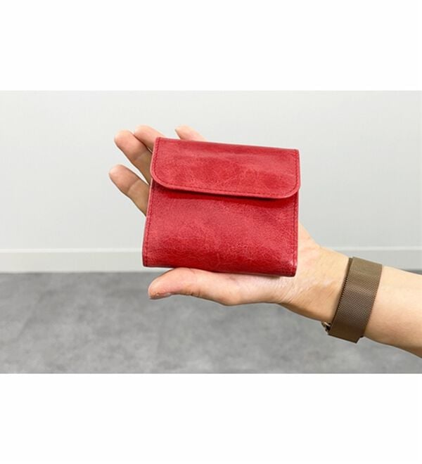 BELLUNA（ベルーナ）の「牛革コインスルーコンパクト機能財布（財布・パスケース）」｜詳細画像