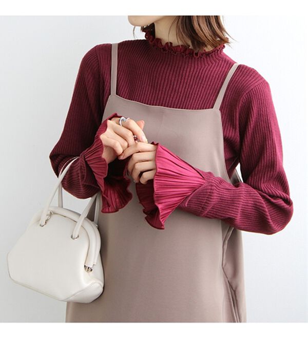 GeeRA（ジーラ）の「プリーツ付ハイネックリブニットトップス（ニット・セーター）」｜詳細画像