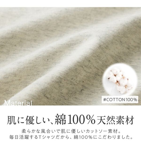 Viola e Viola（ヴィオラ エ ヴィオラ）の「選べる衿綿100％プルオーバー(Ｖネック/クルーネック)（カットソー）」｜詳細画像