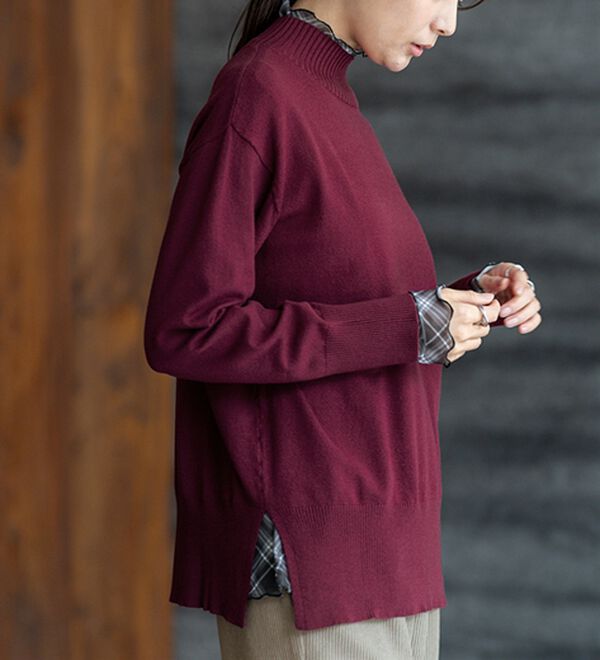 BELLUNA（ベルーナ）の「シアー素材ハイネックインナープルオーバー（カットソー）」｜詳細画像