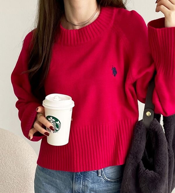 GeeRA（ジーラ）の「【ＵＳ．ＰＯＬＯ　ＡＳＳＮ】ショート丈ニット（ニット・セーター）」｜詳細画像