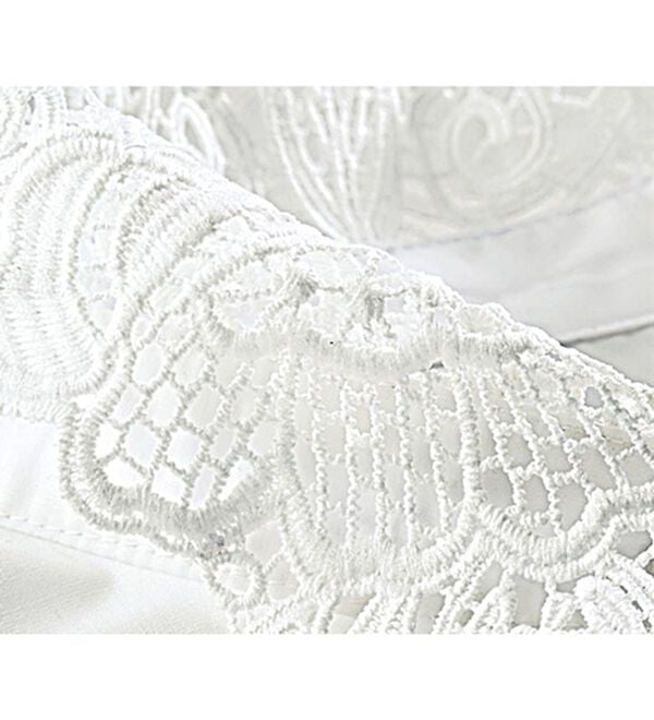 BELLUNA（ベルーナ）の「シャツコーデを更新！衿レースブラウス（ブラウス）」｜詳細画像