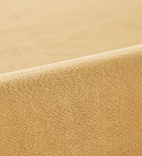 BELLUNA（ベルーナ）の「パール釦使い袖プリーツプルオーバー（カットソー）」｜詳細画像