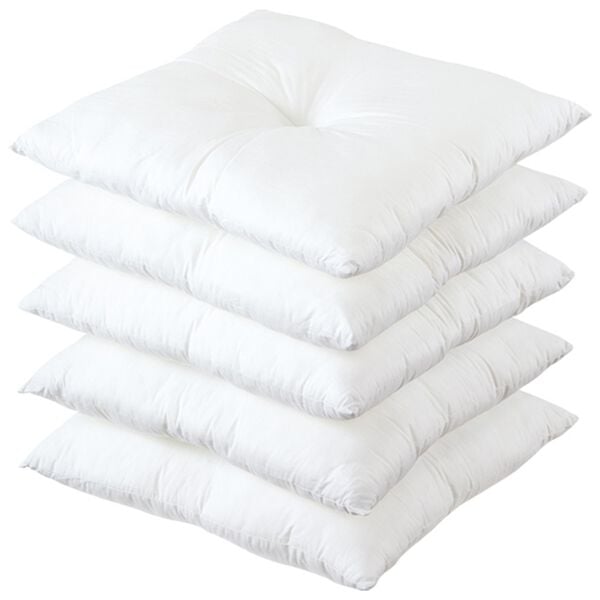 「ヌード座布団５枚組（座布団・座布団カバー）」｜1