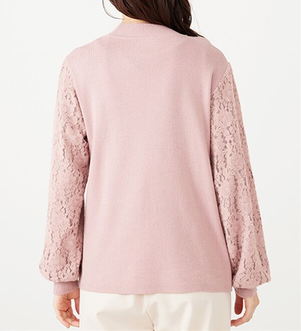 BELLUNA（ベルーナ）の「袖起毛レースニットプルオーバー（ニット・セーター）」｜詳細画像