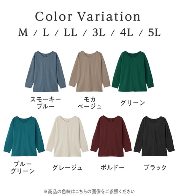 Viola e Viola（ヴィオラ エ ヴィオラ）の「細見えラインリップル切替トップス（カットソー）」｜詳細画像