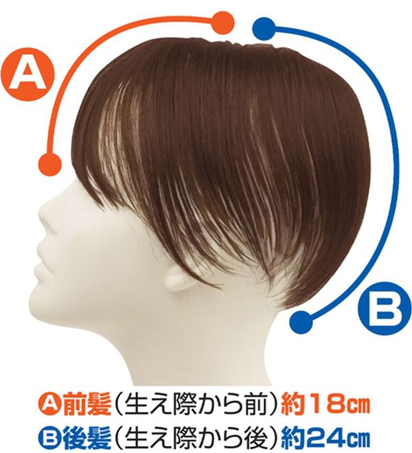 「人毛１００％白髪隠しウィッグセット（ウィッグ・ヘアピース・エクステ）」｜詳細画像