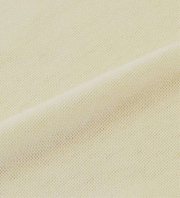 RANAN（ラナン）の「２ＷＡＹレイヤードシアーベロアトップス（カットソー）」｜詳細画像