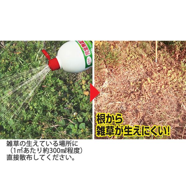 「シャワータイプ液体除草剤ウイードブライト１Ｌ（その他日用品・趣味雑貨）」｜詳細画像