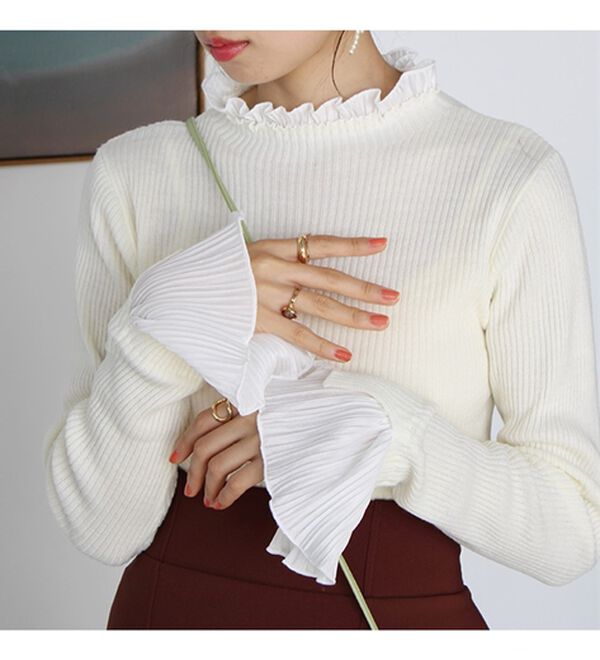 GeeRA（ジーラ）の「プリーツ付ハイネックリブニットトップス（ニット・セーター）」｜詳細画像