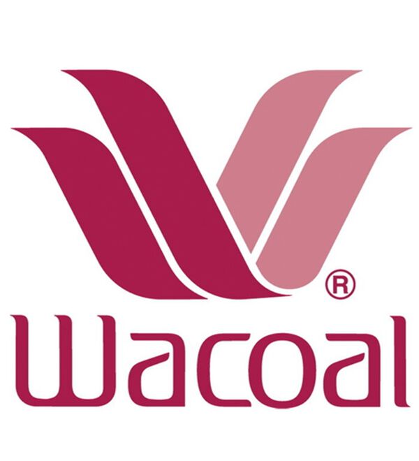 LAVIENNE（ラヴィエンヌ）の「＜ワコール＞Ｗｉｎｇ　Ｌｅｓｓｉａｇｅ（レシアージュ）脇すっきりブラ（ブラジャー）」｜詳細画像