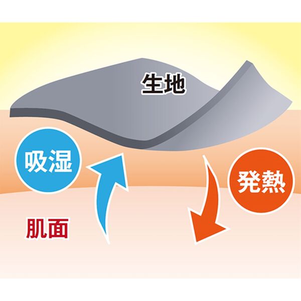 BELLUNA（ベルーナ）の「吸湿発熱ポンチ素材袖デザインプルオーバー（カットソー）」｜詳細画像